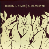 Cool My Blood by Shearwater