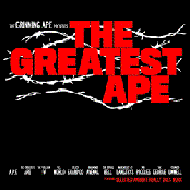 The Greatest Ape