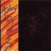 Misfortune? by Asylum Party