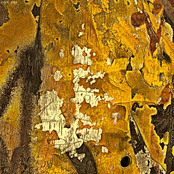 Tragedia Nasavania V Dyme