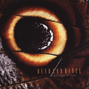 Enigma Of The Absolute by Dead Can Dance