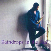 Raindrops In The Sun