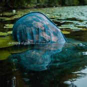 portrayal of guilt / Slow Fire Pistol Split