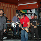 The Estimators