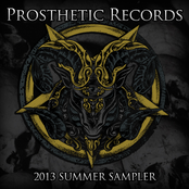 Prosthetic Records Summer Sampler 2013