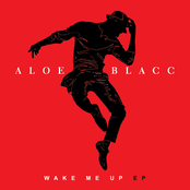 Aloe Blacc: Wake Me Up