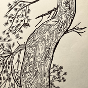 through misty veils, i see