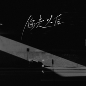 你走以后 - Single