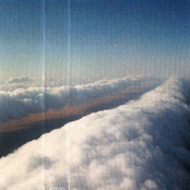 Hundreds of Wives Only a Few are Dead