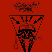 Progressive Stupidity