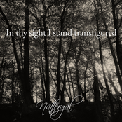 In Thy sight I stand transfigured