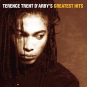 Survivor by Terence Trent D'arby