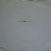 My Thesis / My Dissertation