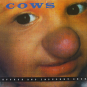 Effete & Impudent Snobs