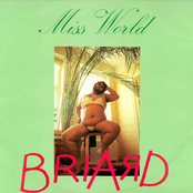 Miss World by Briard