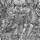 liquor bottles & broken steel