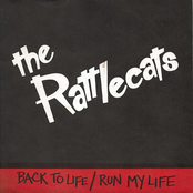 Back To Life / Run My Life