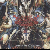 Luxuria In Caellum