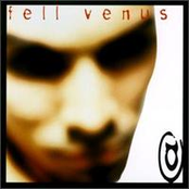 fell venus