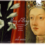 Song Of Songs