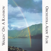 Walkin' on a Rainbow