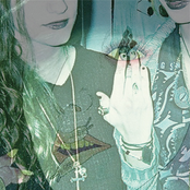 Violin Petal (Auden)/Whipped Secrets