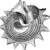 @ Discos e Afins convida #10