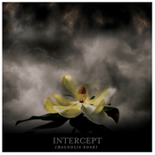 Gravity by Intercept