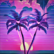 Miami Nights