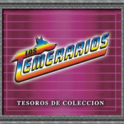 Sucedio En La Barranca by Los Temerarios