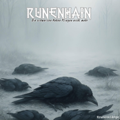 Die schwarzen Raben fliegen nicht mehr