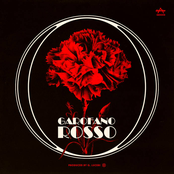 Garofano Rosso