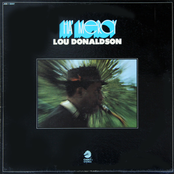 Possum Head by Lou Donaldson
