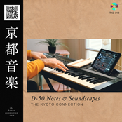 D-50 Notes & Soundscapes