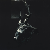 Dead Death, Death Dead