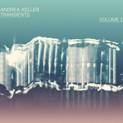 Transients, Vol. 1