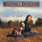 Stop Doing That by Marshall Crenshaw