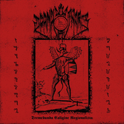 Tremebunda Calígine Regionalista