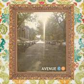 Avenue: C & D