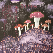 Glowing Spores / Fungi Friend