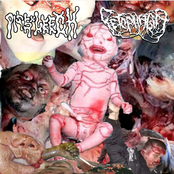 Split With Fetophagia