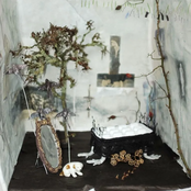 The Rude Interruption of Fear