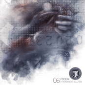 A Permanent Solution