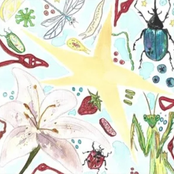 Por trás dos meus olhos existe magia