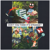 Don't You Think It's Strange?