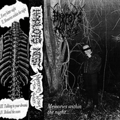 Memories Within The Night