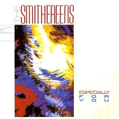 I Don't Want To Lose You by The Smithereens