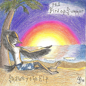 Pt. 1 Bird Of Summer