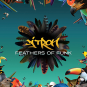 FEATHERS OF FUNK