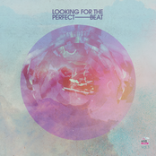 Looking for the Perfect Beat